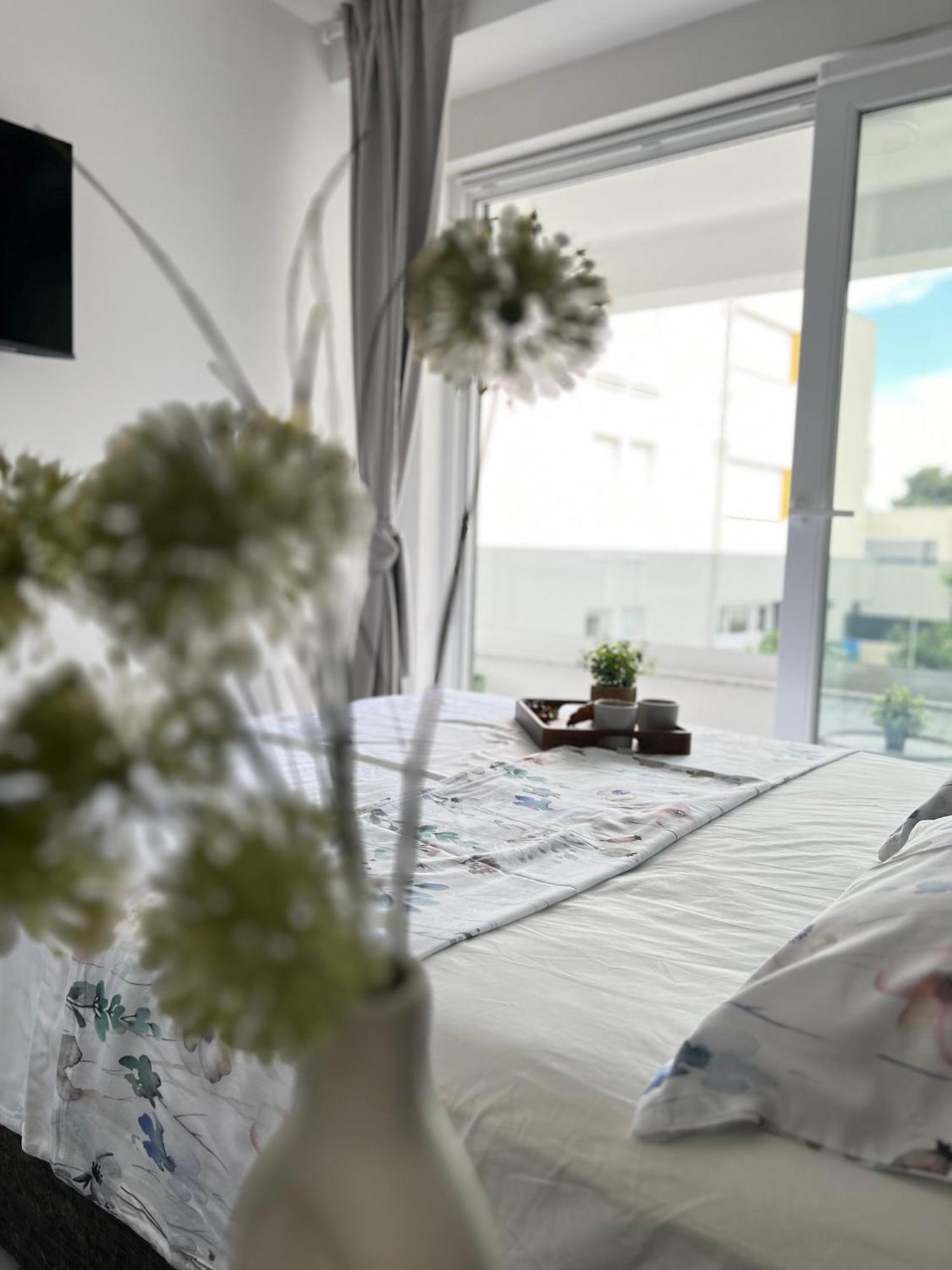 Apartment Luxury Black Pearl Beluga With Private Pool And Jacuzzi Novalja